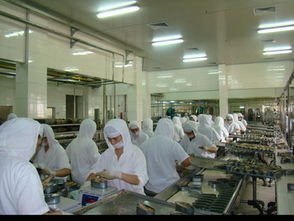 第4版 廣州輕工集團(tuán)