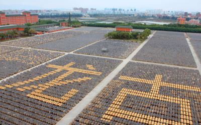 以創(chuàng)意賦能 展國企風(fēng)貌 廈門輕工集團(tuán)亮相第十七屆海峽旅游博覽會(huì),摘取兩項(xiàng)大獎(jiǎng)