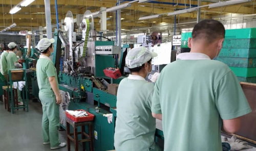 廣州輕工集團(tuán) 以創(chuàng)新驅(qū)動(dòng)高質(zhì)量發(fā)展，譜寫(xiě)輕工業(yè)新篇章